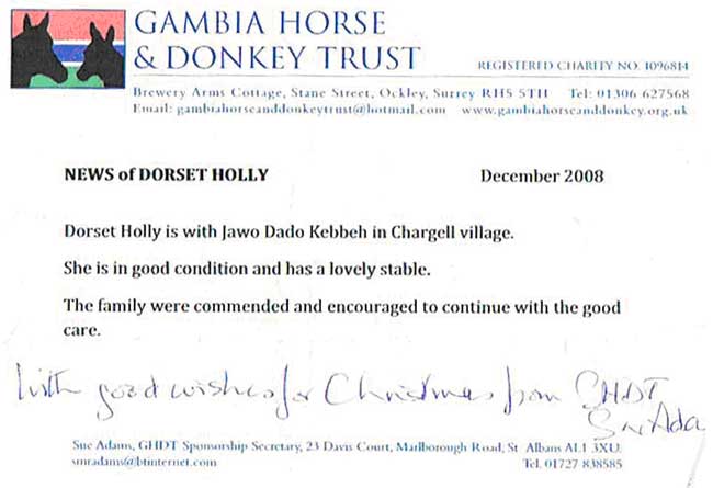 Dorset Holly letter